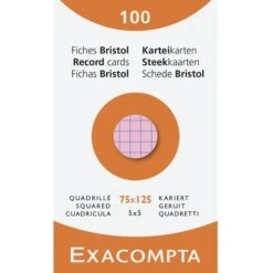 Étui De 100 Fiches Quadrillées (lot De 10 Assortis) - Exacompta
