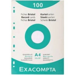 Étui De 100 Fiches Quadrillées Perforées - Exacompta