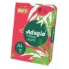 Ramette Adagio 500 Feuilles - 80 G - Couleurs Intenses - Rey -Bureau Produits Magasin AIG2305446 1