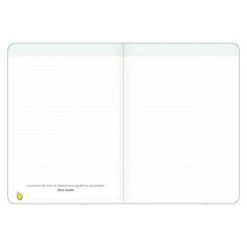 Carnet L'optimisme 15x21cm - Quo Vadis -Bureau Produits Magasin AIG33545441
