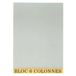 Exacompta Bloc De Contrôle Comptable 29,7x21cm 6 Col. 70 Feuillets -Bureau Produits Magasin AIG3600233