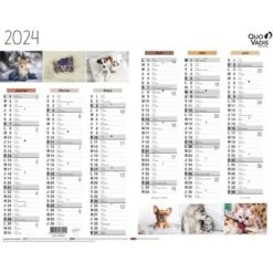 Calendrier 2024 FANTAISIE 27X21 Animaux Par 10 - Quo Vadis