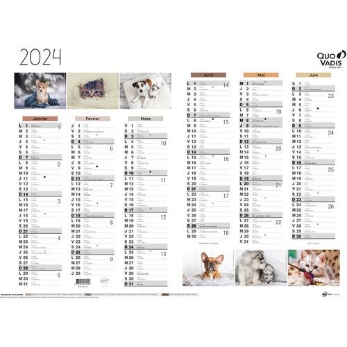 Calendrier 2024 FANTAISIE 55X40,5 Animaux Par 10 - Quo Vadis 3 Calendrier 2024 FANTAISIE 55X40,5 Animaux Par 10 - Quo Vadis