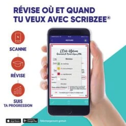 Fiches Bristol Revision 2.0 Oxford A6 Q5x5 Cadre - Oxford -Bureau Produits Magasin AIG7961132